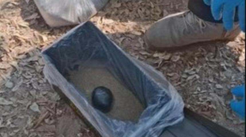 Köpeğinin eve getirdiği nesneyi görünce gözlerine inanamadı! Sahibi gerçeği öğrenince boncuk boncuk terledi