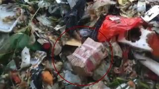 Düğün parası 1 milyon TL'yi yanlışlıkla çöpe attı! Gözyaşlarına hakim olamadı: Bir mucize bekledim