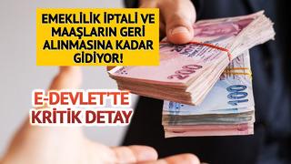 Emeklilik iptal olabilir! Ödenen maaşlar faiziyle geri alınıyor... E-devlet'te o harfi gören yandı