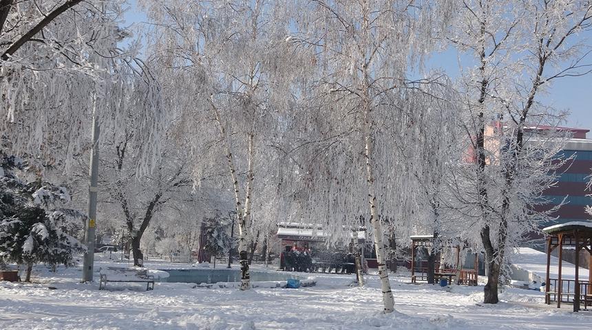 O şehir -25 dereceleri gördü! Resmen buz tuttu