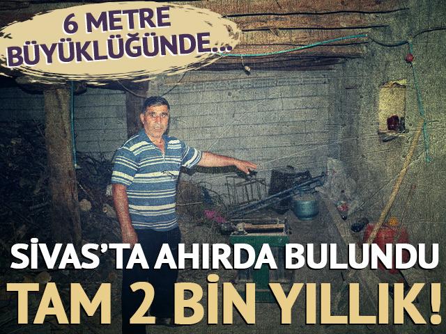 Sivas'ta bir ahırda bulundu: Tam 2 bin yıllık! 