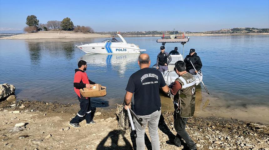Gölde mahsur kalmışlardı! Yavru köpeklerin yürek burkan hikayesi...