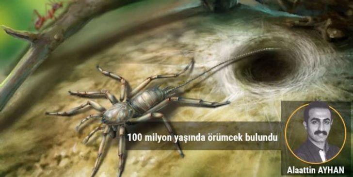 8 bacaklı yaratık tam 100 milyon yaşında! G1