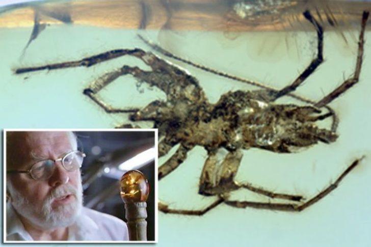 8 bacaklı yaratık tam 100 milyon yaşında! G3