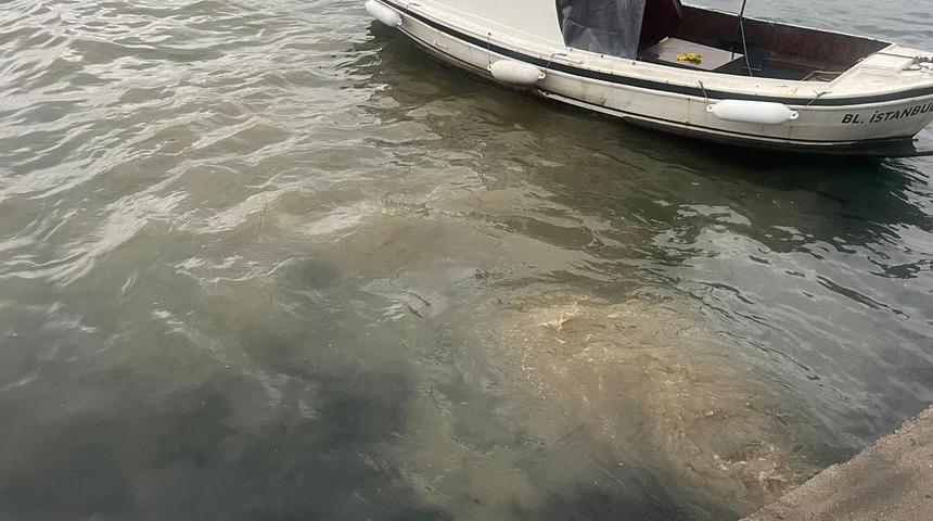 Bakanlık harekete geçti! Üsküdar'daki görüntüler gündem oldu! "Burası insan dışkılarıyla doluyor"