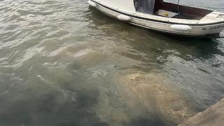 Bakanlık harekete geçti! Üsküdar'daki görüntüler gündem oldu! Burası insan dışkılarıyla doluyor