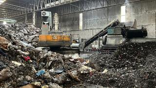 Hepsinde hastalık tespit edildi! O ülkeden geri döndü, Mersin'de imha edildi