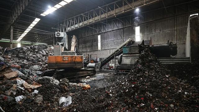 En çok tüketilen sebzede hastalık! 400 ton imha edildi... "Piyasaya sürüldü mü?" sorusu cevap buldu