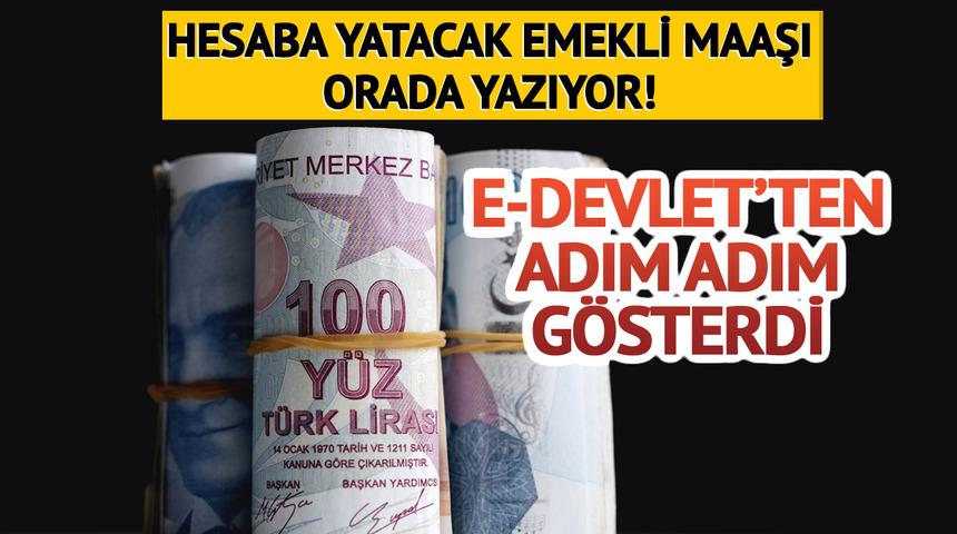 Emekli maaşı hesaba yatacak rakamı hesaplama yöntemi! e-Devlet'ten tek tek gösterdi, SSK, Bağkur 2025 ekranı