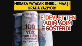 Emekli maaşı hesaba yatacak rakamı hesaplama yöntemi! e-Devlet'ten tek tek gösterdi, SSK, Bağkur 2025 ekranı