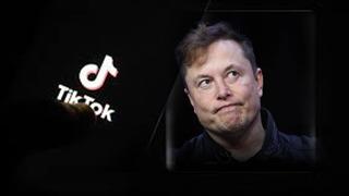 Satılacak iddiası gündem olmuştu! TikTok'tan Elon Musk açıklaması geldi... Defalarca yineleyerek kararı vurguladılar