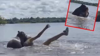 Suda zor anlar yaşadı! Bir anda saldırdı... O anlar sosyal medyada gündem yarattı: Arkadaş canlısı zannediyordum