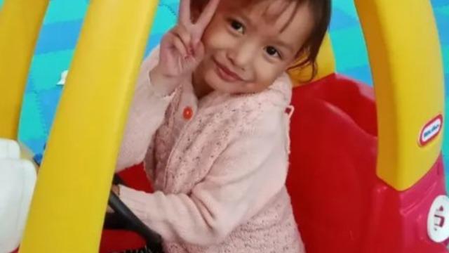 5 yaşındaki küçük kız timsaha yem oldu! Yardım çığlıkları yankılandı... Ailesi hiçbir şey yapamadan izledi