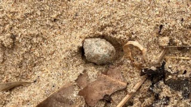 Kıyıya vuran gizemli toplar panik yarattı! Plajlar kapatıldı: Şu anda ne olduğunu bilmiyoruz