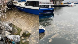 Korkutan görüntü! Kadıköy'de müsilaj tehdidi! Deniz yüzeyini kapladı...