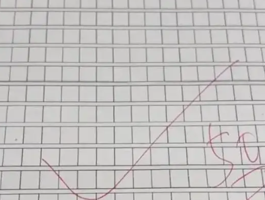 Sınav kağıdına hiçbir şey yazmayan öğrenci tam puan aldı