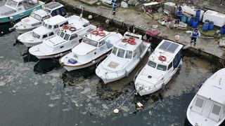 İstanbul'un göbeğinde gözüktü! Tam 2 gün üst üste deniz yüzeyindeydi... Marmara Denizi müsilaj tehlikesini tekrar yaşıyor