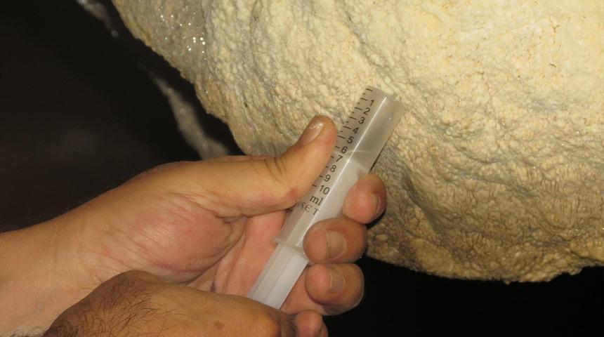 Türkiye'de ilk kez görüldü! Bu bakteri diğerlerinden farklı... İlaç bile yapılması bekleniyor