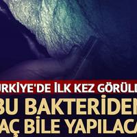 Bu bakteriden ilaç bile yapılması bekleniyor...