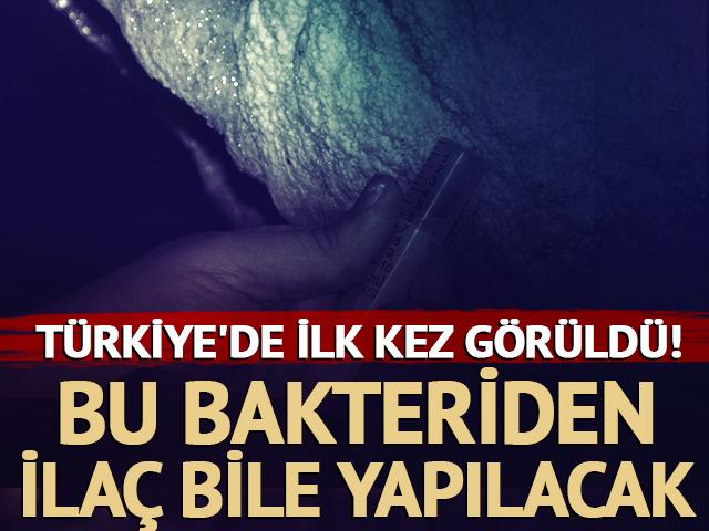 Bu bakteriden ilaç bile yapılması bekleniyor...