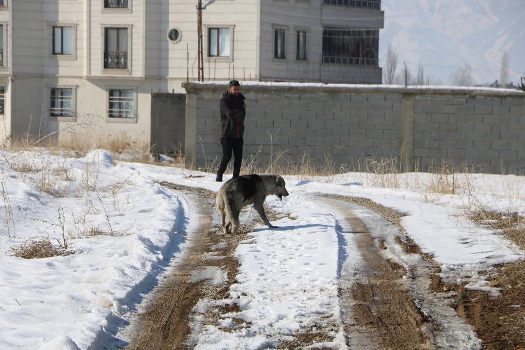 HAKKARI---ESLEMIN-OLUMU-SONRASI-BOLGEDE_523377_154901