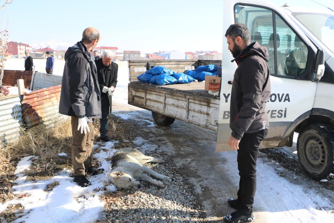 HAKKARI---ESLEMIN-OLUMU-SONRASI-BOLGEDE_523379_154901