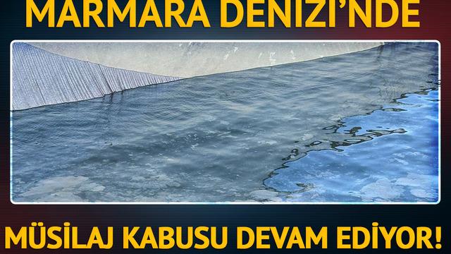 Marmara'nın müsilaj problemi büyüyor: Balık yerine müsilaj!