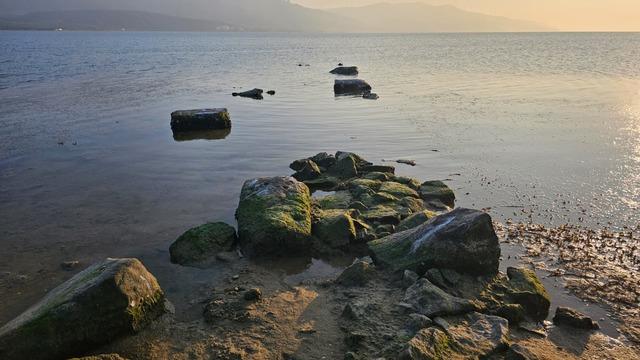 Deniz çekilince ortaya çıktı: Bölgedeki vatandaşlar hem şaşırdı hem de korktu!