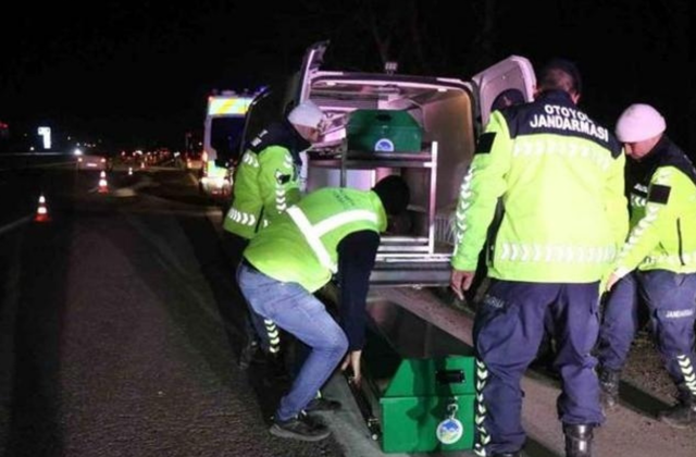 Sakarya'da feci ölüm! Çok sayıda araç 84 yaşındaki adamı çarparak parçaladı! Kimliği belli oldu!