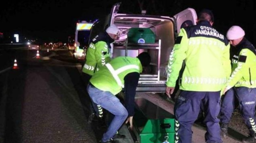 Sakarya'da feci ölüm! Çok sayıda araç 84 yaşındaki adamı çarparak parçaladı! Kimliği belli oldu!