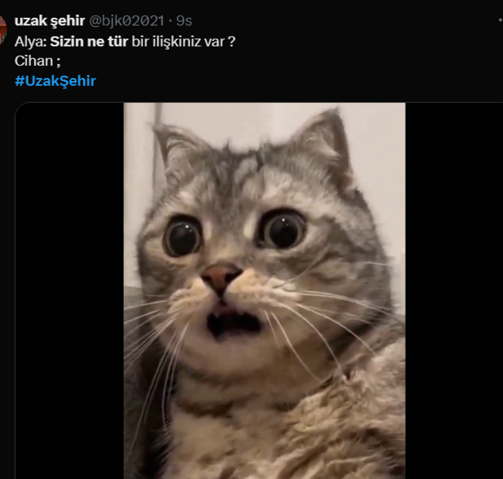 Uzak Şehir'de Alya, Cihan ve Mina'yı konuşurken görünce... Sosyal medyada en çok konuşulan sahne G4