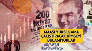 80 bin TL maaşı var! Acil aranıyor ama bulamıyorlar 'Herkes okuyup mühendis, doktor olacak'