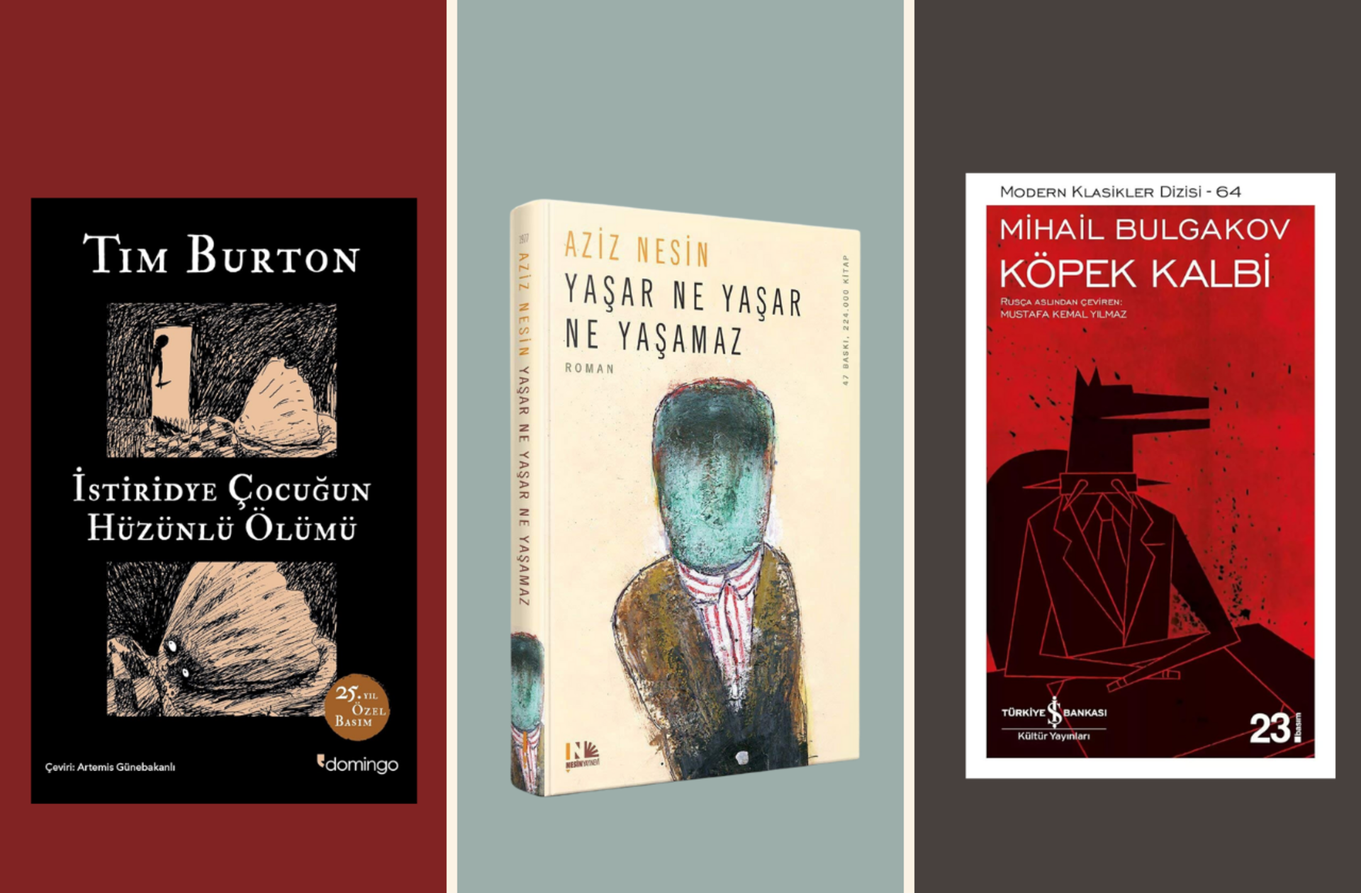 Gassal dizisiyle gündeme geldi! İşte kara mizah temalı 10 kitap