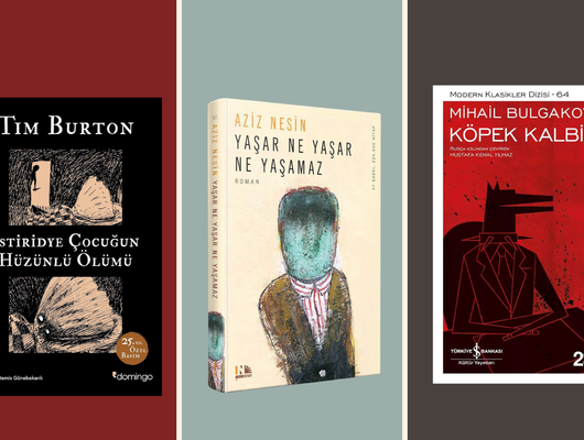 Gassal dizisiyle gündeme geldi! İşte kara mizah temalı 10 kitap