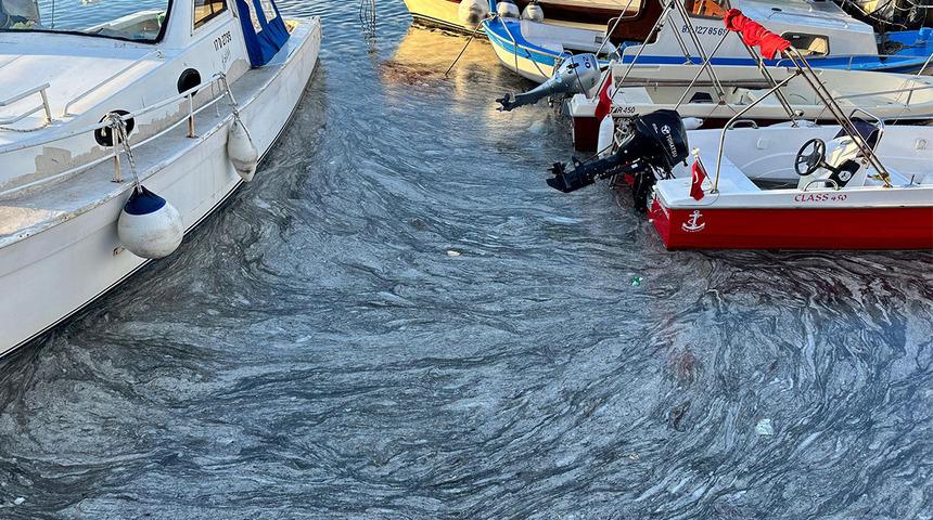 Marmara'da korkutan görüntü! Tehlike çanları çalıyor, müsilaj görüntüsü farklı illerden geldi