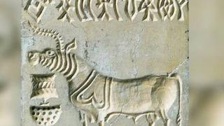 Bu şifreyi çözen kişiye 35 milyon lira verilecek! 