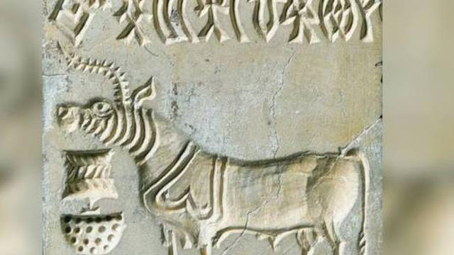 Bu şifreyi çözen kişiye 35 milyon lira verilecek! 