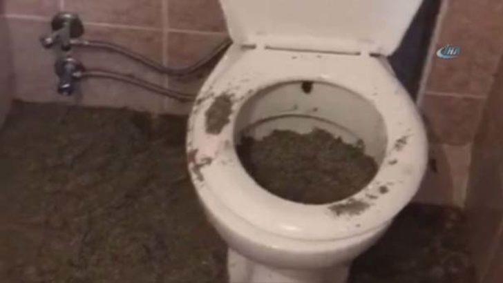 Bunu gören bir daha ağzına sürmez G4