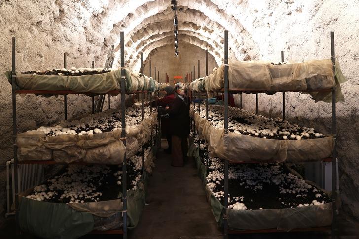 Kooperatif kuran girişimci kadınlar kaya odalarda mantar üretiyor! "Yapabilir miyiz diyorduk ama başardık" G1