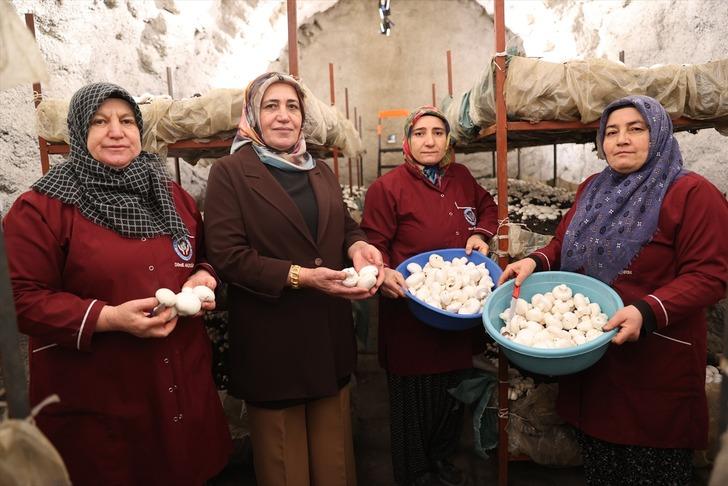 Kooperatif kuran girişimci kadınlar kaya odalarda mantar üretiyor! "Yapabilir miyiz diyorduk ama başardık" G2