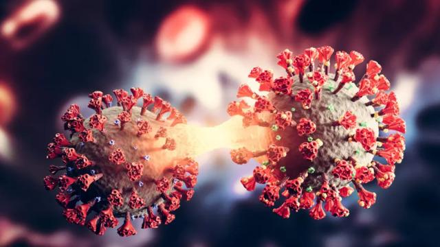 Yıllarca tüm insanlığın kabusu olan Kovid-19'un kaynağı için dünyanın konuşacağı sözler! Bir ihtimale ağırlık verildi