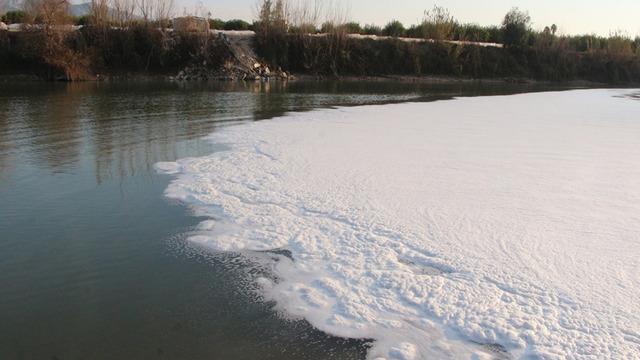 Ceyhan Nehri'nin rengi siyaha döndü, üzerinde köpükler oluştu! Kirli suda balık ölümleri yaşanıyor... Mahalleli tedirgin