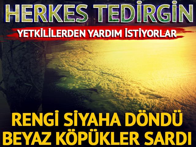 Ceyhan Nehri'nin rengi siyaha döndü, üzerinde köpükler oluştu!