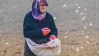 4 bin aile geçiniyor! 'Yüzde 20'sini karşılıyor' Hedef 30 bin ton üretmek... O ilçe bu işle meşhur