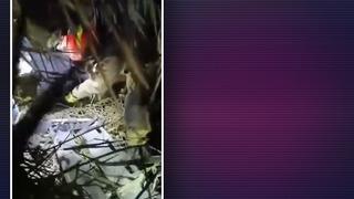 Fotoğraf çekinmek için 10 metre yüksekten aşağıya düştü! Alkollü şahıs itfaiye ekiplerine zor anlar yaşattı