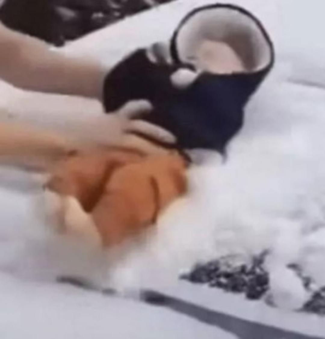 TikTok ta skandal görüntüler! Baba daha çok izlenme için 3 aylık bebeğiyle aracının üzerindeki karları süpürdü 1