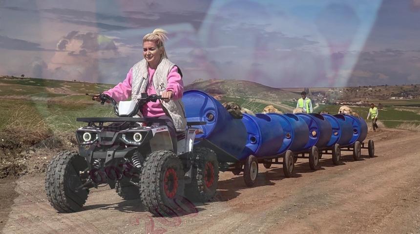 Bağış skandalı: Meğerse yardıma muhtaç hayvanları sahte fatura düzenlemek için kullanmış! Vurgun yaptığı tutar dudak uçuklattı...