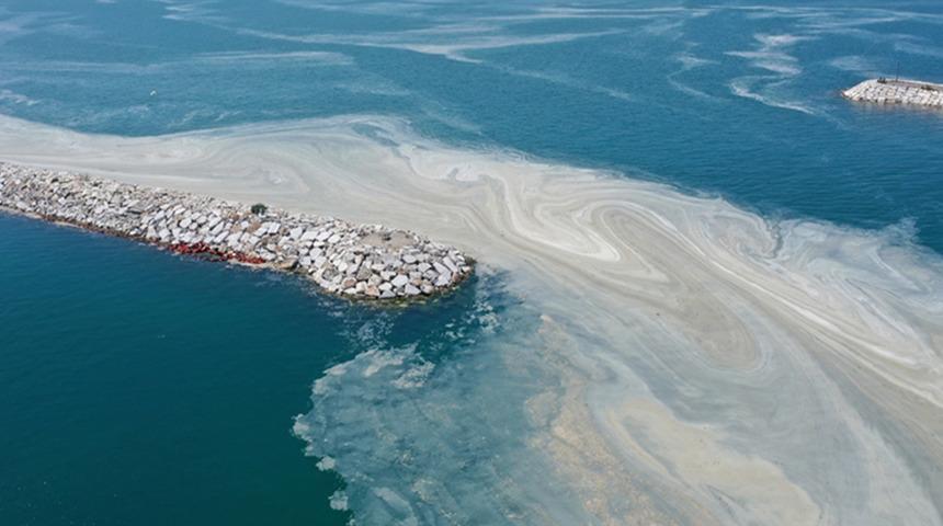 Marmara'nın müsilaj kabusu Ege'ye sıçradı! Uzmanlar uyarıyor: "Ekolojik bir yıkımın habercisi olabilir" 