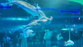 Her şey çocukların gözü önünde yaşandı! Dev akvaryumda gösteri yapan kadına balık saldırdı... Çığlık çığlığa izlediler