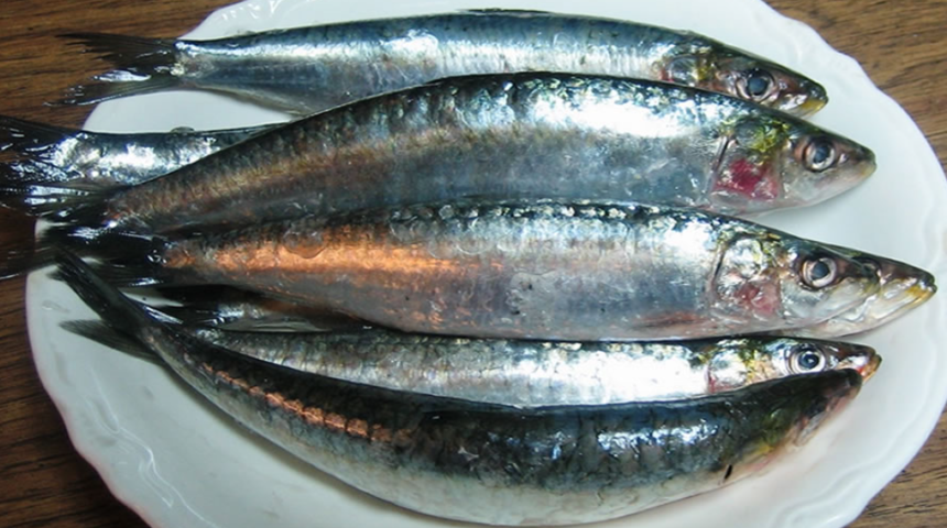 Bu balıkların değerini bilen çok az! Faydaları şaşırtıyor: Kalp, kanser, diyabet...